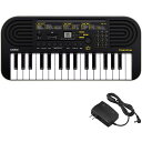 SA-51 イケベオリジナルセットF (SA51) CASIO (新品)