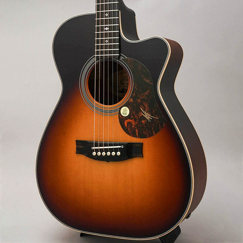 EBG808C Artist TTB [2024 Limited Model] MATON (新品)