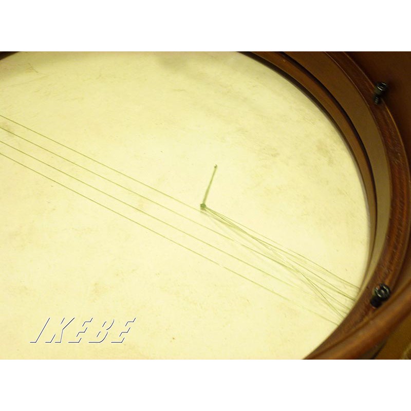 FD16BE [Goatskin Bendir 16]�ڤ������ʡ� MEINL (����)