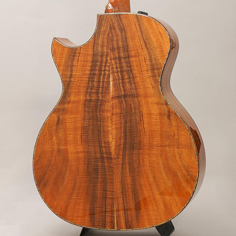 Custom GAce Andy Powers...の紹介画像2
