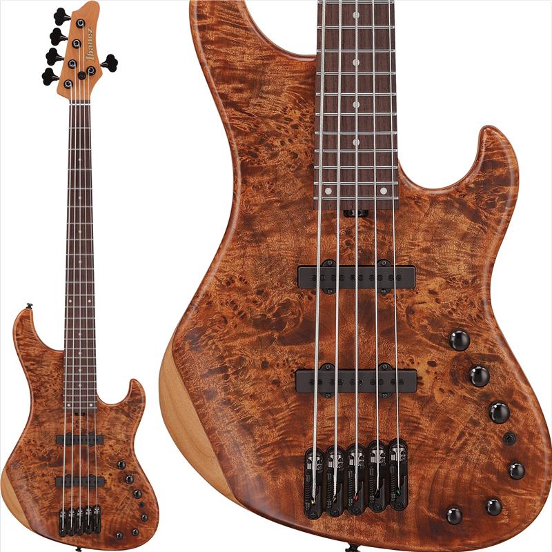 【8月下旬以降入荷予定、ご予約受付中】 MDM1605-NML Ibanez (新品)