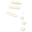 【創業50周年大決算SALE】 PURE VINTAGE 60S STRATOCASTER(R) ACCESSORY KIT (VINTAGE WHITE) (...
