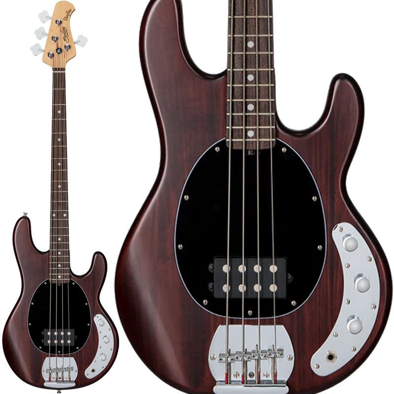 あす楽 S.U.B. Series Ray4 (Walnut Stain/Rosewood) Sterling by MUSICMAN (新品)