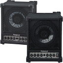 CM-30【2本ペアセット】 Roland (新品)