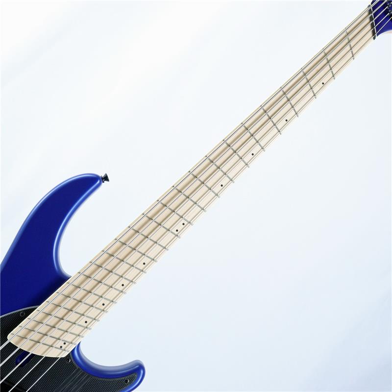 NG-3 5st Adam Nolly Getgood Signature Model (Blueberry) DINGWALL (新品)