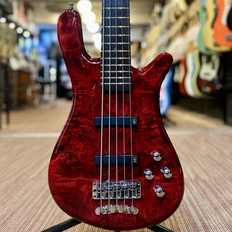 Pro Series Streamer LX 5st Birdseye Poplar Top (Dark Bleached Red TP HP) [Ikebe 50th Anniversary Special Edition] #13955 Warwick (新品)