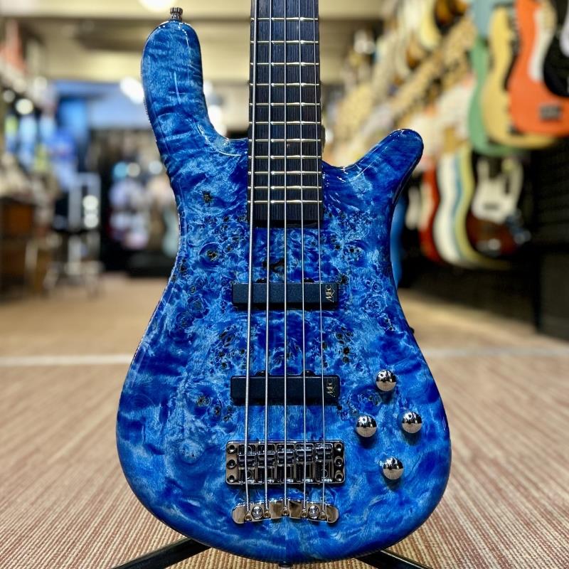 Other - Pro Series Streamer LX 5st Birdseye Poplar Top (Bleached Blue TP HP) [Ikebe 50th Anniversary Special Edition] #14001 Warwick (新品)