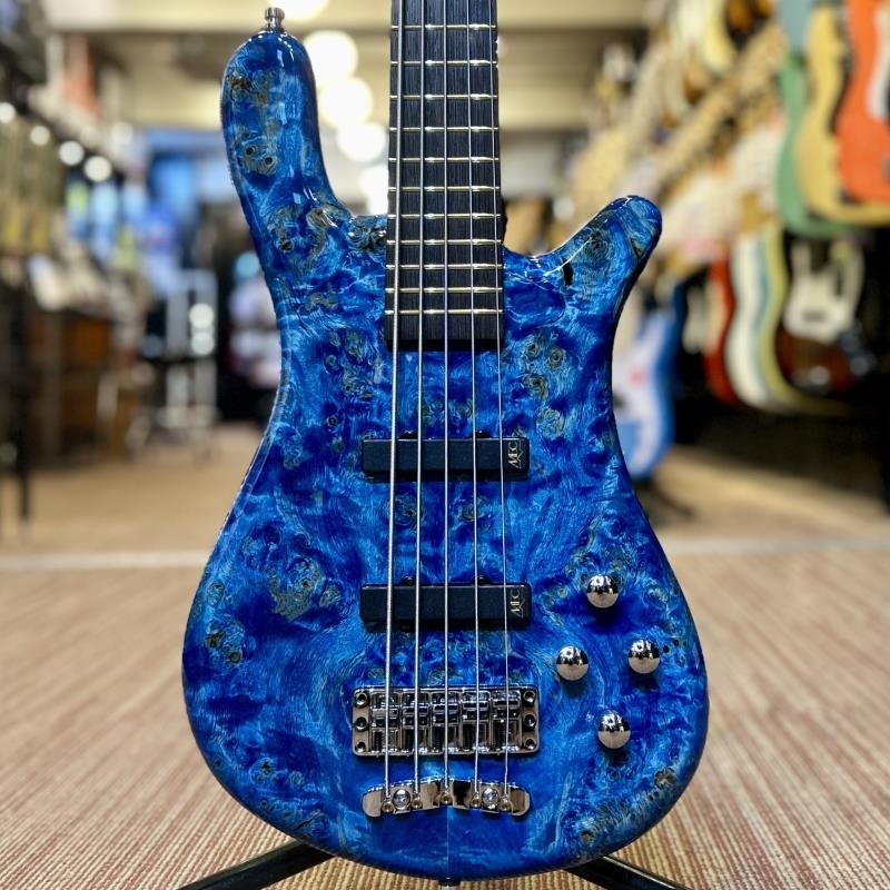 Rakuten - Pro Series Streamer LX 5st Birdseye Poplar Top (Bleached Blue TP HP) [Ikebe 50th Anniversary Special Edition] #13998 Warwick (新品)