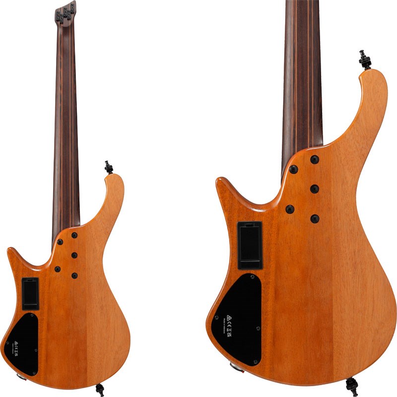 Bass Workshop EHB1505SMS-FNL [SPOT MODEL] Ibanez (新品)
