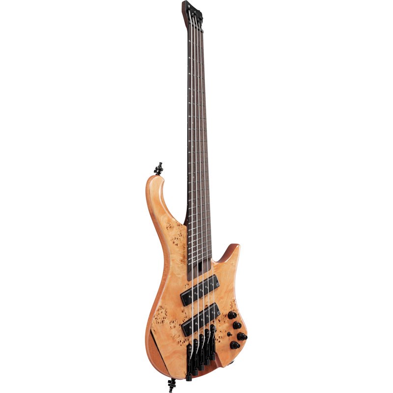 Bass Workshop EHB1505SMS-FNL [SPOT MODEL] Ibanez (新品)