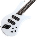 NS DIMENSION HP 5 (White Sparkle Gloss) 【創業50周年大決算SALE】 SPECTOR (新品)