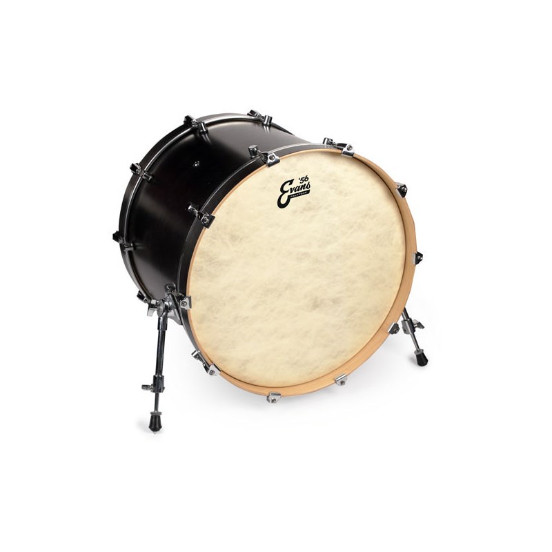 イケベ楽器楽天ショップのBD16CT ['56 - Calftone Bass 16：Wood Hoop仕様 / Bass Drum]【1ply ， 12mil】【お取り寄せ品】 EVANS (新品)｜アングル2