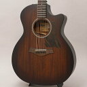 【値下げ!!】【創業50周年大決算SALE】AD24ce テイラー TAYLOR (新品)