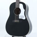 【数量限定特価!】【史上最大決算セール】【イケベオリジナル】 HJ-5080SE BLK w/WHT PG ヘッドウェイ Headway (アウトレット 新品特価)