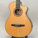 【1本限定チョイキズ大特価!】【史上最大決算セール】Jason Mraz Signature Model (JMSM) テイラー TAYLOR (アウトレット 新品特価)