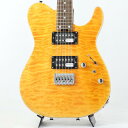 KR-24-2H-FXD (Amber/R) SCHECTER (新品)
