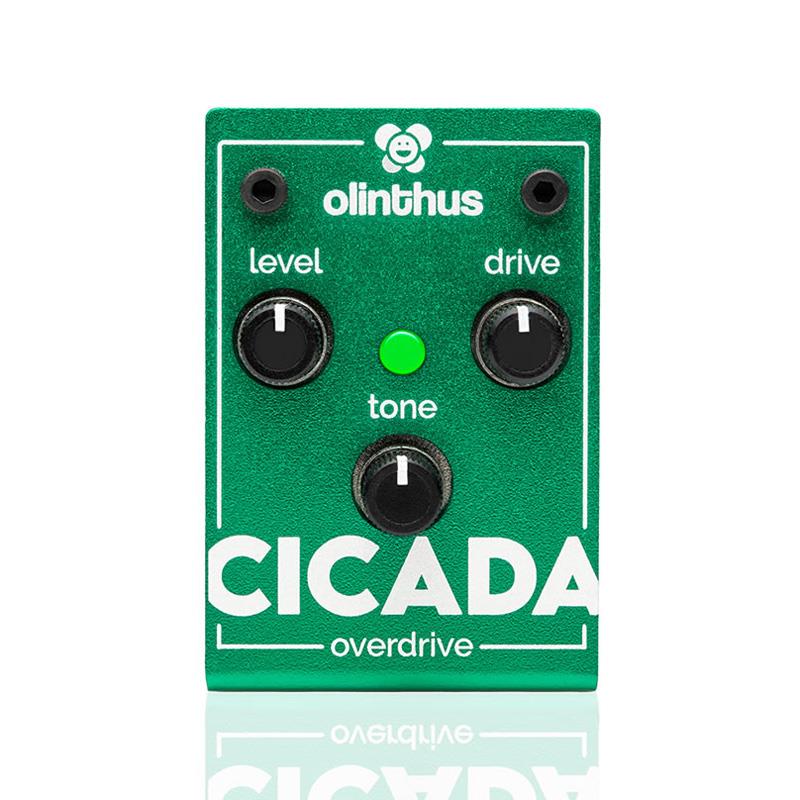 樂天商城 - CICADA（オーバードライブ） olinthus (新品)