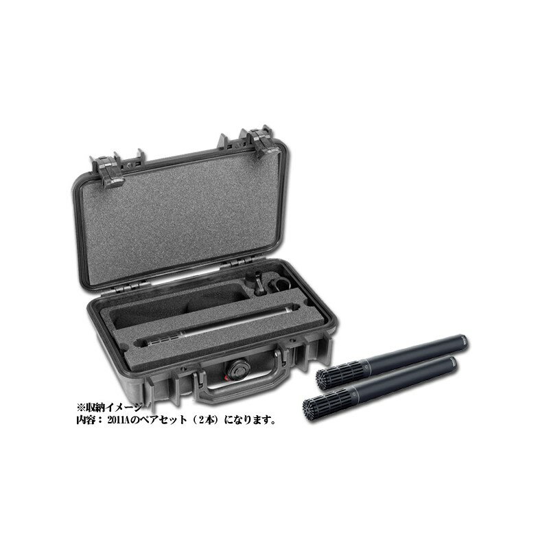 ST2011A （MMC2011+MMP-A）単一指向性マイクロホン ステレオペア DPA (新品)