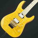 【USED】 Pro-Mod DK24 HH FR M Mahogany with Quilt Maple (Dark Amber) 【SN.MC24001861】 Charvel (ユーズド 美品)(2)