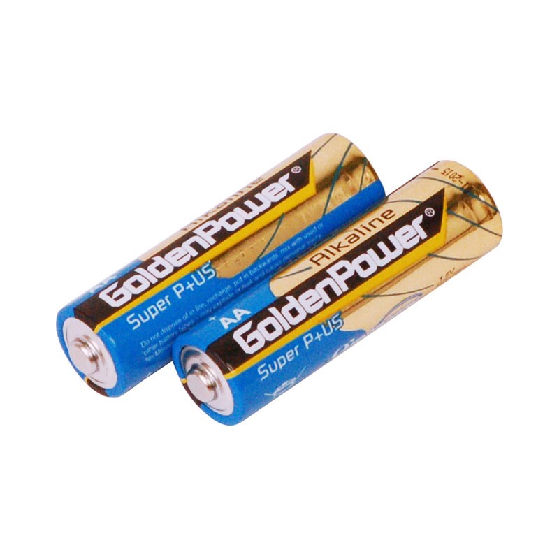 GLR6A [ñ3���륫������] ���硼��� (����)