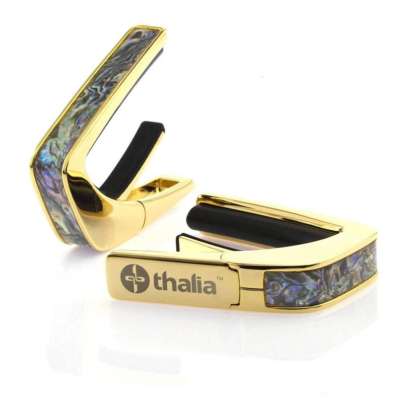Exotic Shell Series 24K Gold Dragon Abalone [新仕様] タリアカポ Thalia Capo (新品)