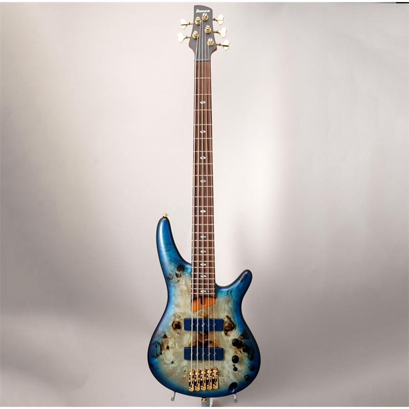 イケベ楽器楽天ショップのSR6605-GFB 【特価】 Ibanez (アウトレット 新品特価)｜アングル2