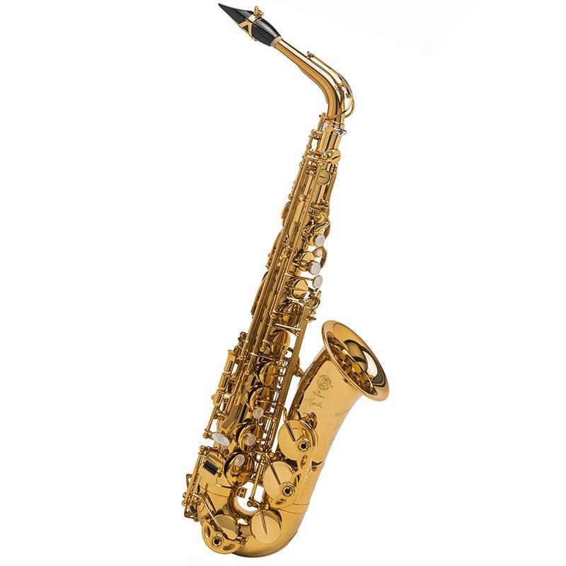 【ジェローム・ララン氏選定品】アルトサックス セルマー Signature シグネチャー ...