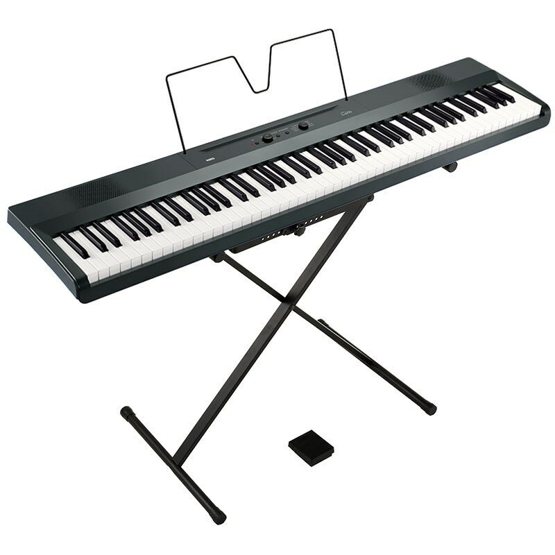 Liano L1SP MGRAY(᥿å쥤)(Բ)(졦ΥӸ) KORG ()