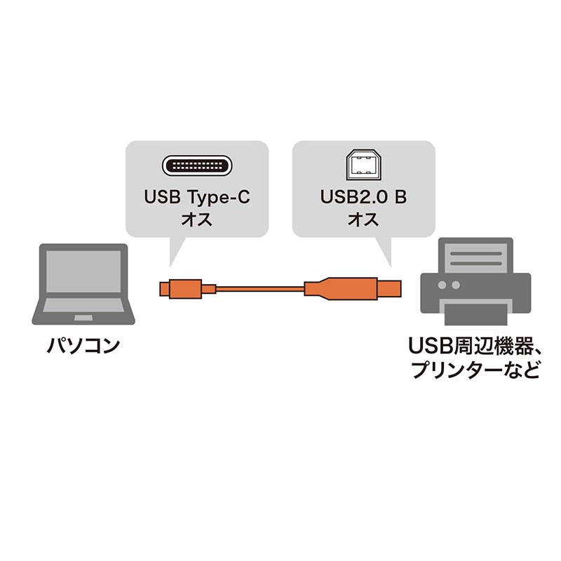イケベ楽器楽天ショップの【決算売り尽くしセール】KU-CB10 【1.0m】(USB2.0 Type C-Bケーブル)(サンワサプライ) SANWA SUPPLY (新品)｜アングル2
