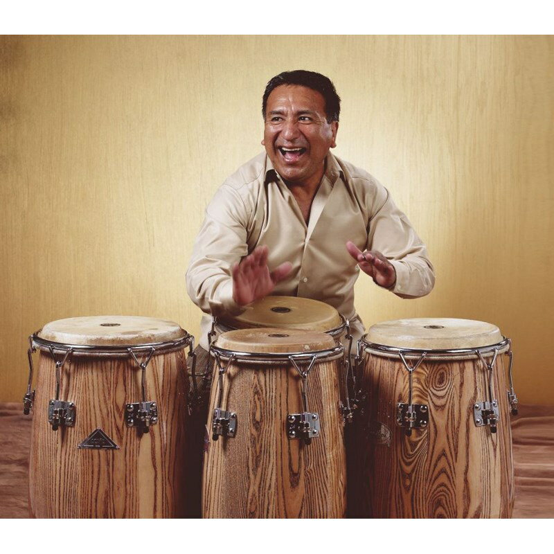 GON-AA1150 N [Alex Acuna Series Conga] 【お取り寄せ品】 GON BOPS (新品) 2