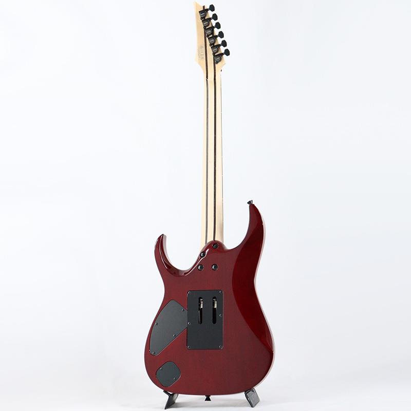 j.custom Axe Design Lab RG8870-AGT (Almandite Garnet) Ibanez (新品) 3