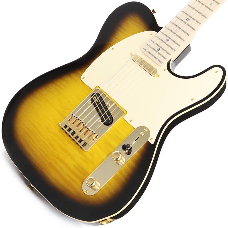 Richie Kotzen Telecaster (Brown Sunburst/Maple) Fender (Japan Exclusive Series) (����)