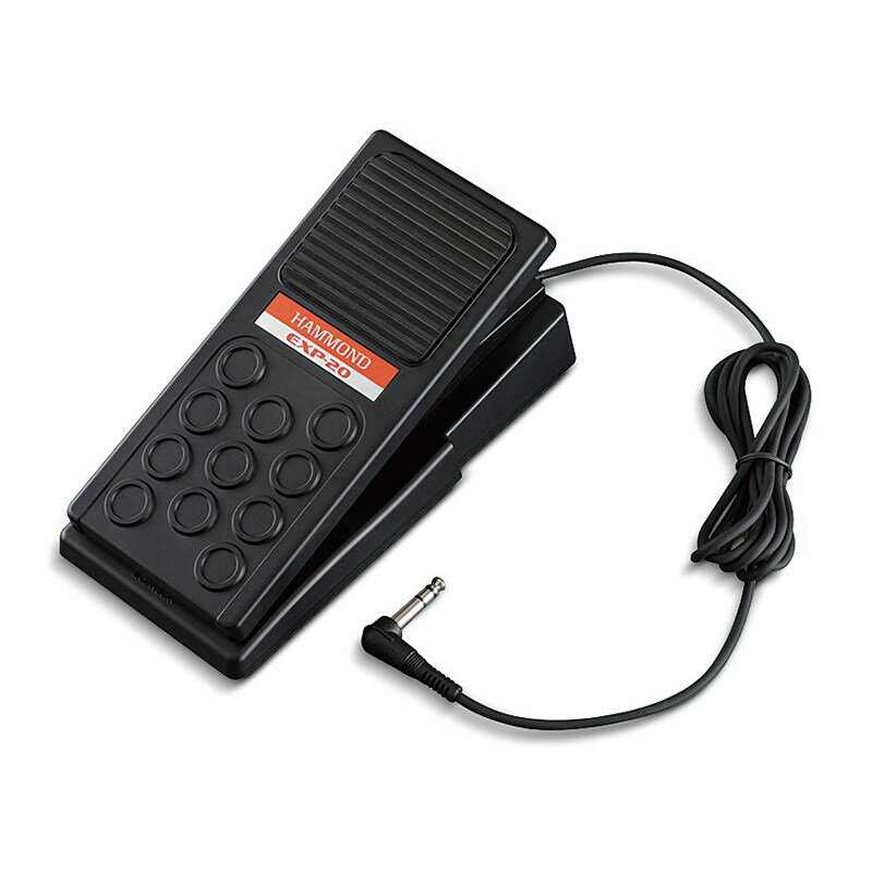 EXP-20 HAMMOND (新品)