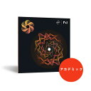 Nectar 4 Advanced EDU(アカデミック版)(エデュケーション)(代引不可)(オンライン納品) iZotope (新品)