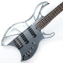 BASS B0101Z-5 Chemical Polishing Aguilar LTD EVO (新品)