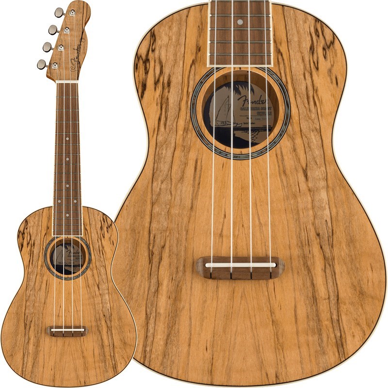 ZUMA EXOTIC CONCERT UKULELE (Spalted Maple) 【お取り寄せ】 Fender Acoustics (新品)