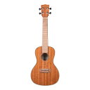 KA-CG KALA (新品)(2)