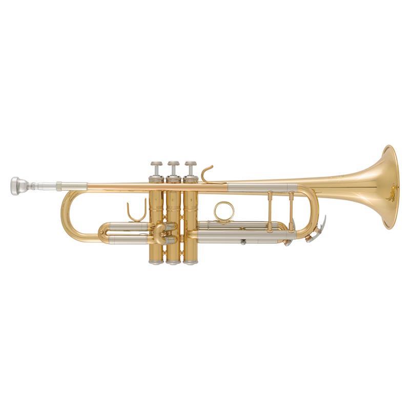 ■商品紹介V.Bach (ヴィンセント・バック) TR Series BTR312 GL Bb管 トランペットVincent Bachバックを手にするよろこび。それは品位、伝統、風格。バックはトランペット、トロンボーンの「フォルムの基準」を創造し、それを頑固に守りながらも新しい確信を融合させて、誰の模倣でもなく、また誰も模倣しえない音を創りだしてきました。ブライトあるいはダークと時代によって求められる音色は変わっても、音づくりという人間の感覚が支配する領域で、本質を極め、重厚にしてしかも繊細、純粋で心地よい音色をおとどけしてきたのです。基本であり、最上級。それこそが、Bachが多くのプレイヤーに愛されている理由です。TR SeriesTRシリーズは、バック・ストラッドに比べ、初心者の方でもより吹きこなしやすく扱いやすくデザインされています。コストパフォーマンスに大変優れており、世界中で広く愛用されています。BTR312 (BTR-312)バック特有のほど良い抵抗感が、つかれにくく、コントロールしやすい作用を生み出します。また、豊かで温かなバック・サウンドで、吹奏楽の盛んな学校にもお薦めの楽器です。お求めやすい価格と、吹きやすさのハイブリッド吹奏感の要になるマウスピースレシーバーとマウスパイプは金管楽器の聖地、アメリカ・エルクハート工場製で、名器180ML37と同じ＃25マウスパイプを採用。本体は中国製でお求めやすい価格を実現。ベル（中国製）は37ベルの特性に近い設計。・ニッケル製レシーバーとレッドブラス製リードパイプ・ブラス製インナーチューブ/ ニッケルシルバー製アウターチューブ・ダブルメインチューニングスライドブレーシング・モネルピストン仕様・Bb管 トランペット・マウスパイプ / #25・ベル / 37ベルの特性に近づけた設計・ボア / ML（.459/11.66mm）・イエローブラスベル・ラッカー仕上げ付属品・Bach 5C マウスピース・専用ケース・その他 / バルブオイル、メーカー保証書※製造時に生じた小キズや表面の荒れなどある場合がございますが、本国ならびに、国内メーカーにて良品として検品を通過致しました演奏上問題なくご利用頂けます商品となります。状態につきましては、予めご了承頂きましてご注文をお願いいたします。検索キーワード：イケベカテゴリ_管楽器・吹奏楽器_トランペット_Bbトランペット_Bach_新品 SW_Bach_新品 JAN:2500240892413 登録日:2026/06/27 トランペット バック バッハ