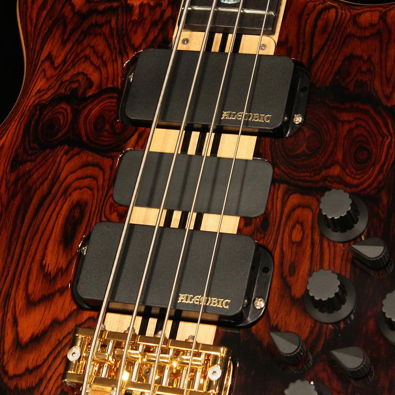 SSB / Series II 4st (Coco Bolo Top & Back / Ebony Neck Laminates) ALEMBIC (����)