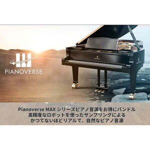 Pianoverse Max Upgrade (代引不可)(オンライン納品) IK Multimedia (新品)