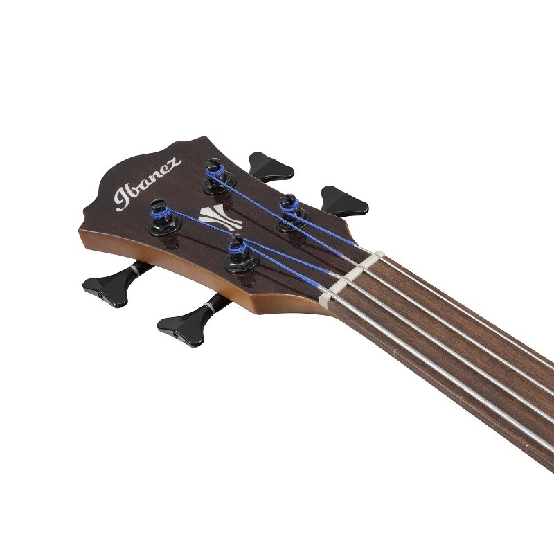 AEGB24FE-MHS [SPOT MODEL] Ibanez (����)