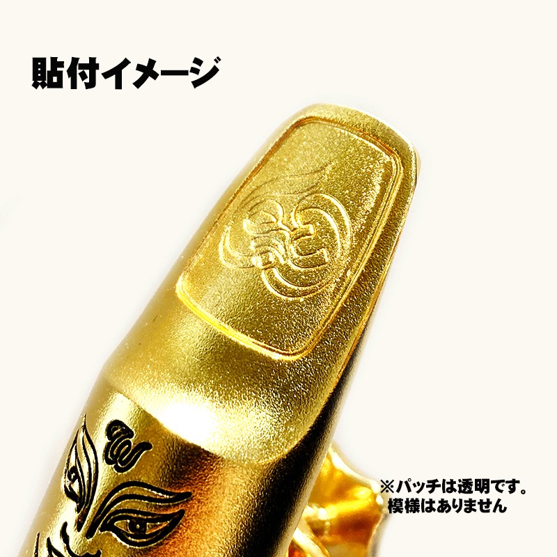 イケベ楽器楽天ショップのセオ・ワニ バイト・パッド スモール Theo Wanne (新品)｜アングル2