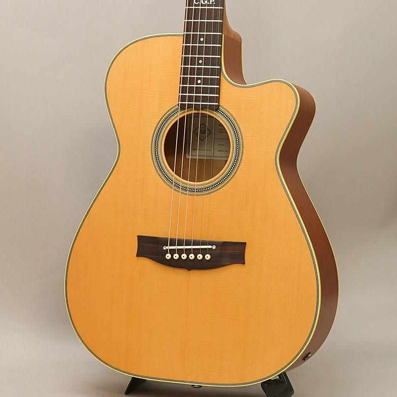 Garrison - Master Built TE.Personal Cutaway メイトン MATON (新品)