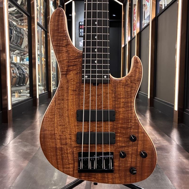 Limited Edition MetroLine 24-Fret Modern Bass 5st (AAA Koa Top) #038 S...