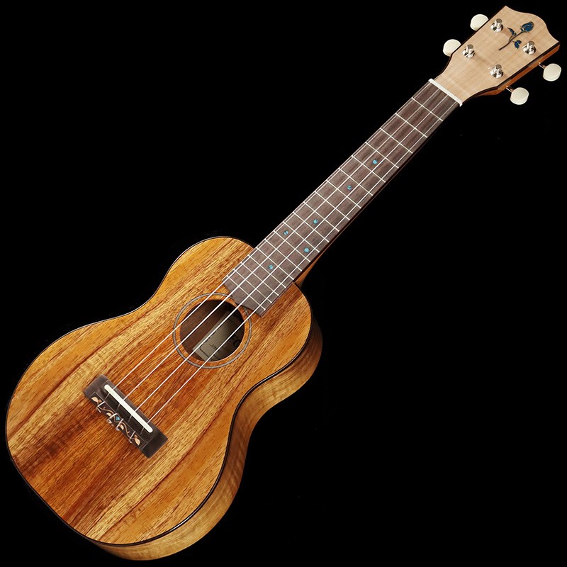 FGN Acoustic FUS-TC [Concert] フジゲン FUJIGEN (新品)(2)