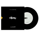 Algoriddim × / djay Control Vinyl 7 Black (DJAY7-001) stokyo (新品)