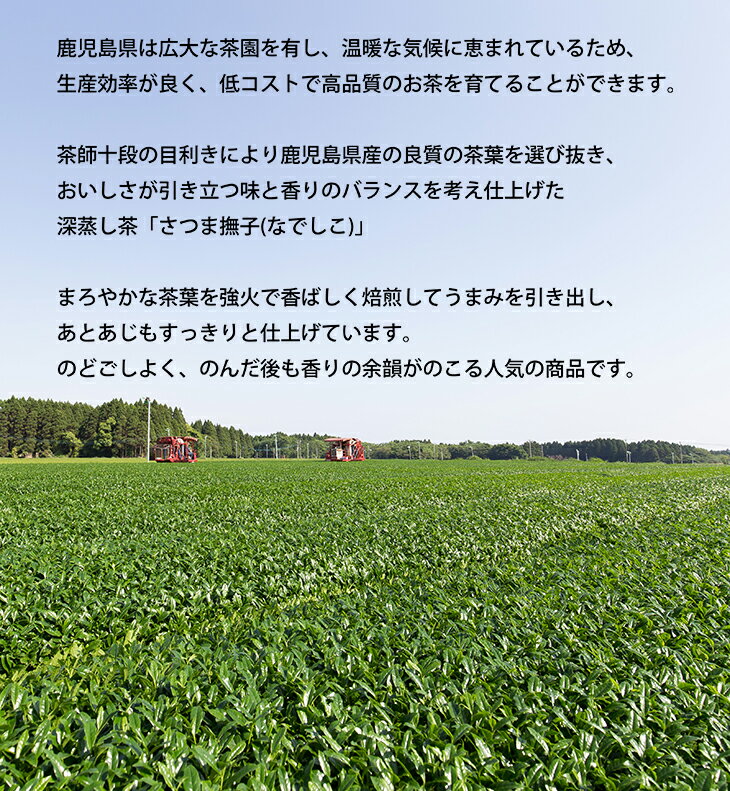 ★強火焙煎★こうばしく香る！「さつま撫子（なでしこ）100g×1パック」鹿児島 深蒸し茶【ネコポス】【ポストにお届け。】【煎茶】