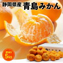 訳あり みかん 箱 買い 5kg 晩生 青島 蜜柑 ミカン フルーツ 果物 青島みかん 青島ミカン 静岡 みかん 産地 直送 甘い ジューシー コク 自宅用 家...