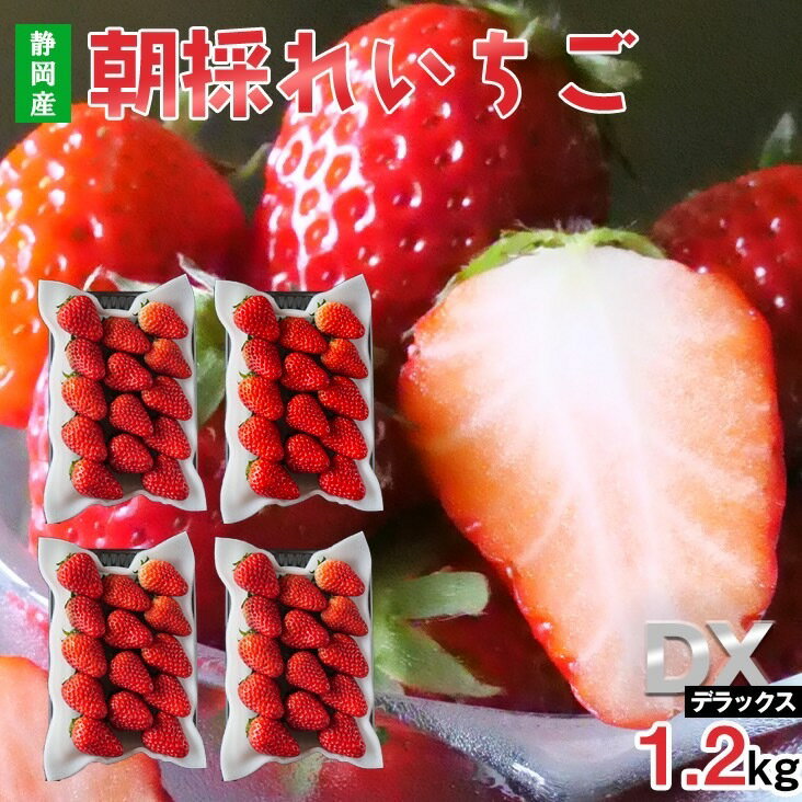 静岡県産 紅ほっぺ きらぴ香 1.2kg (300g×4パック) イチゴ いちご 苺 DX デラックス 贈答用 産地直送 順次配送 高級 静岡県 伊豆の国 ※沖縄・離島・一部地域によっては送料がかかる場合がございます。のサムネイル