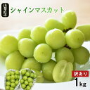 シャインマスカット 山梨 甲州 勝沼 1kg前後 産地直送 地元青果店 お買い得 ※沖縄・離島・一部地域によっては送料がかかる場合がございます。